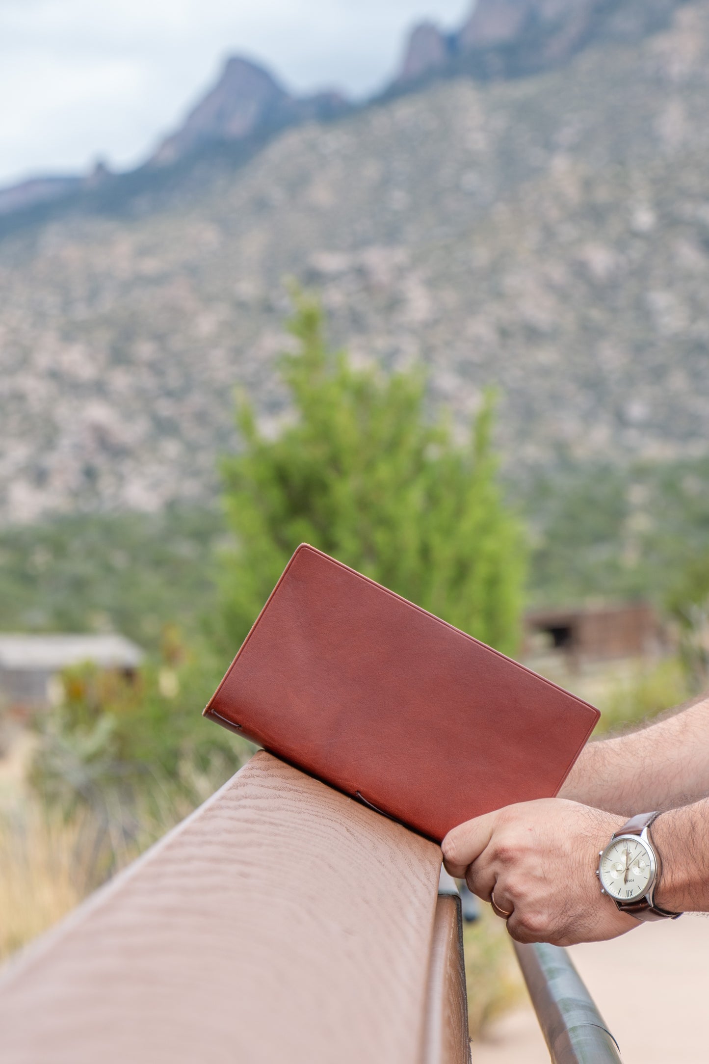 Cottonwood Journal